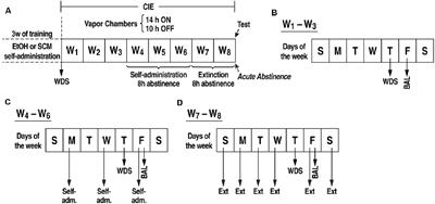 Blockade of Orexin Receptors in the Posterior Paraventricular Nucleus of the Thalamus Prevents Stress-Induced Reinstatement of Reward-Seeking Behavior in Rats With a History of Ethanol Dependence